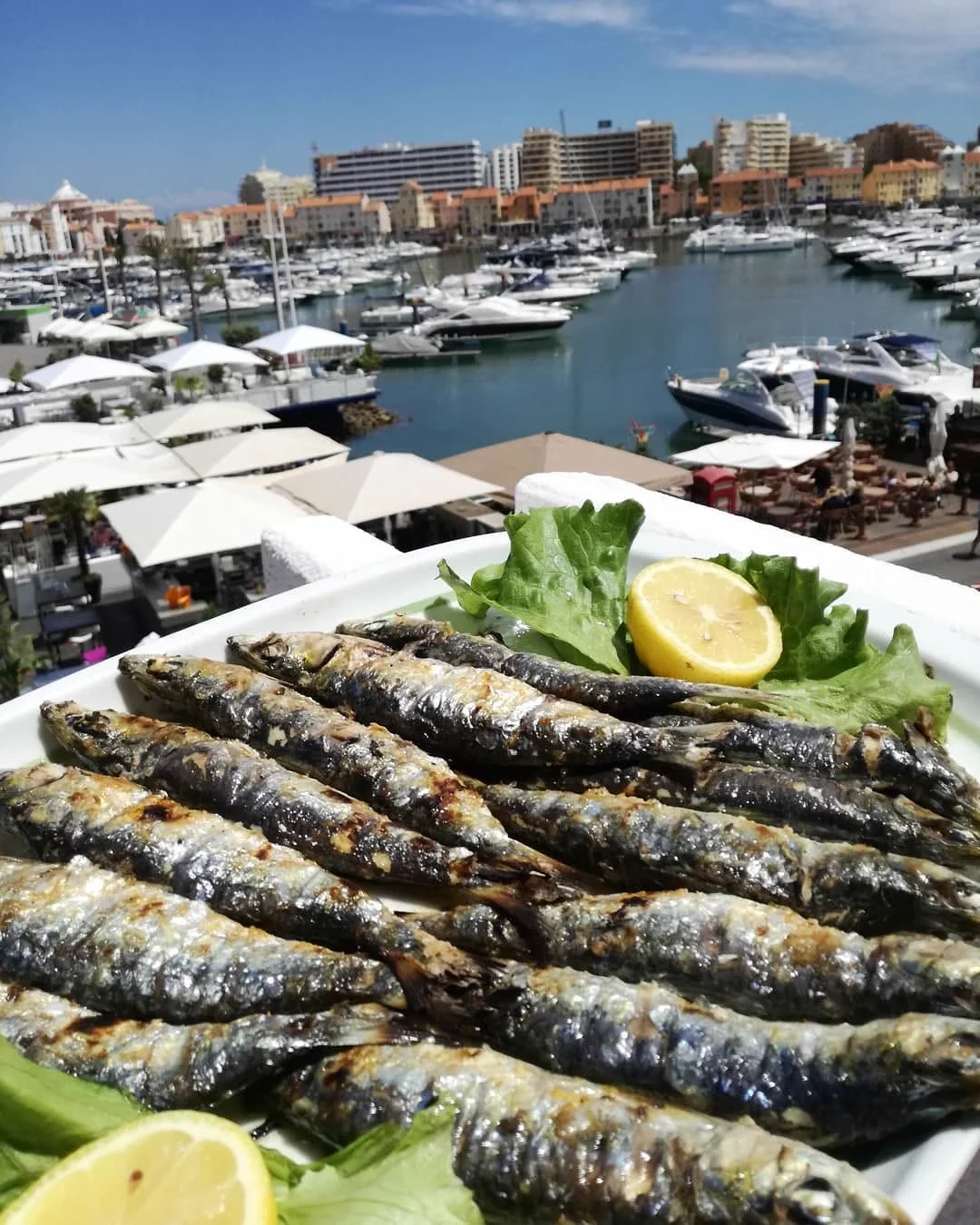 Vista da Marina de Vilamoura, O Cesteiro